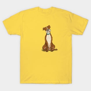 Boxer T-Shirt